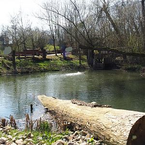 Park view, 2019-03-30