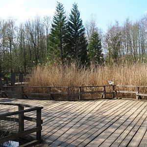 Walkway through marshy area, 2019-03-30