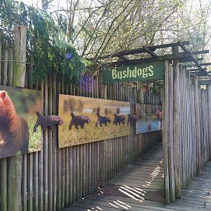 Pathway to the bush dog house, 2019-03-30