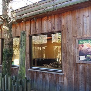Bush dog house, 2019-03-30