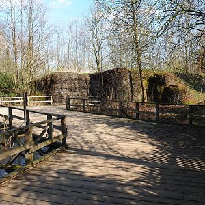 Walkway through marshy area, 2019-03-30