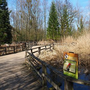 Walkway through marshy area, 2019-03-30