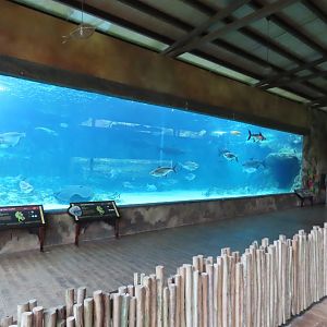 Mekong river exhibit