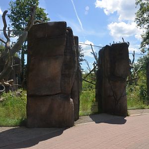 Spectacled Bear Viewing at Duisburg, 17/06/19