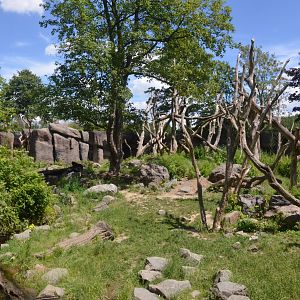 Spectacled Bear Enclosure at Duisburg, 17/06/19