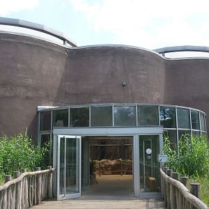 Elephant House at Duisburg, 17/06/19