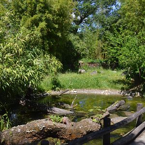 Asian Short-clawed Otter Enclosure at Duisburg, 17/06/19