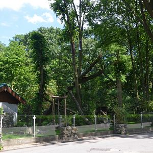 Red Panda Enclosure at Duisburg, 17/06/19