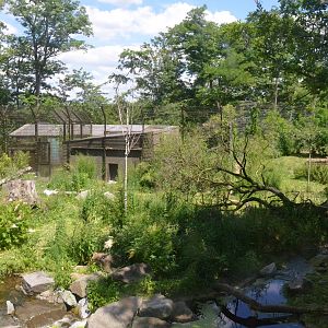 Amur Tiger Enclosure at Duisburg, 17/06/19