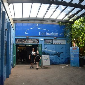 Dolphinarium at Duisburg, 17/06/19