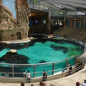 Dolphinarium at Duisburg, 17/06/19