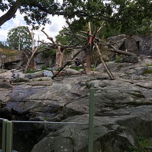 Part of bear enclosure