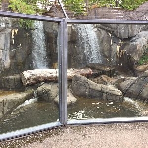 Part of bear enclosure