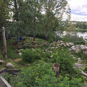 Part of bear enclosure