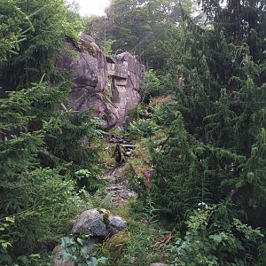 Great grey owl aviary