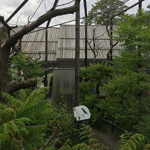 Small walk through aviary