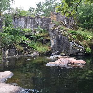 Enclosure for Harbor seals