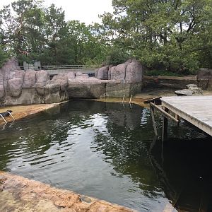 Enclosure for Grey seals