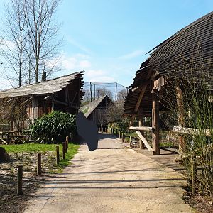 View in Rainforest - Amazonia area, 2019-03-30