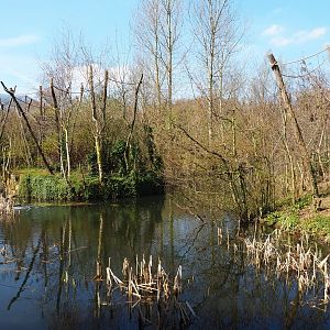Woolly monkey and red-faced spider monkey islands, 2019-03-30