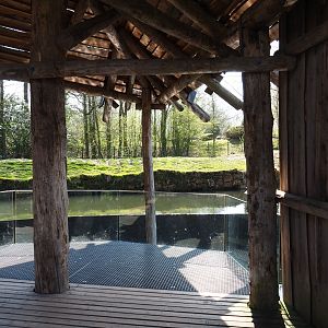 South American tapir and nutria viewing shelter, 2019-03-30