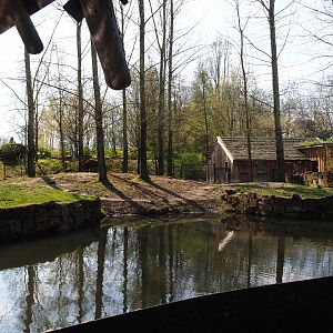 South American tapir exhibit, 2019-03-30