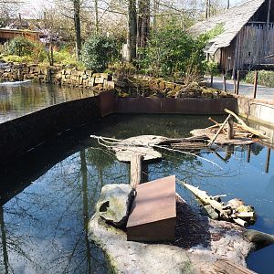 Nutria exhibit, 2019-03-30