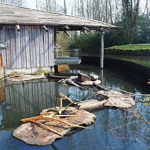 Nutria exhibit and viewing shelter, 2019-03-30