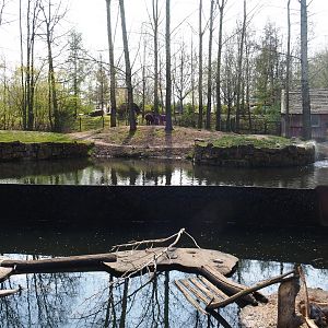 Nutria and South American tapir exhibits, 2019-03-30