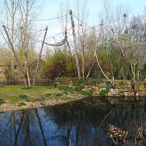 Woolly monkey island, 2019-03-30