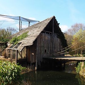 Woolly monkey house, 2019-03-30