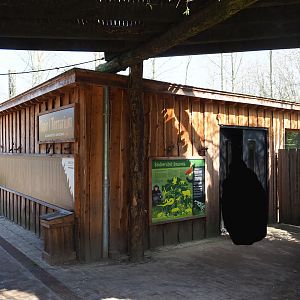 Tapir and terrarium house, 2019-03-30