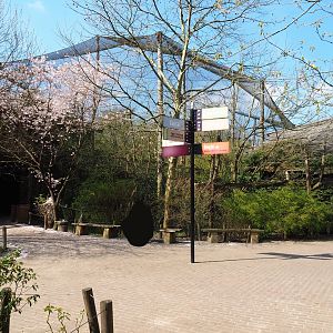 View in the rainforest - Amazonia area, 2019-03-30