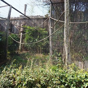 Scarlet macaw and sun conure aviary, 2019-03-30