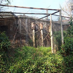 Scarlet macaw and sun conure aviary, 2019-03-30