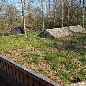 Green roof on the tapir and terrarium building, 2019-03-30