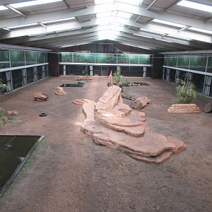 Big Cat Complex - Central Exhibit