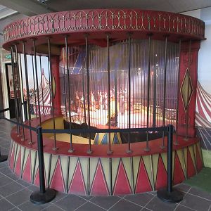 Big Cat Complex - Pedagogical Material