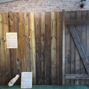 Big Cat Complex - Pedagogical Material (a lion's paw!)