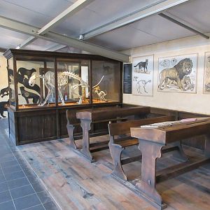 Big Cat Complex - Pedagogical Material