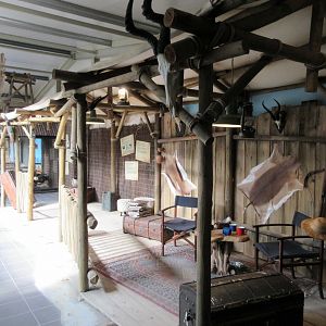 Big Cat Complex - Pedagogical Material (Hunting Lodge)