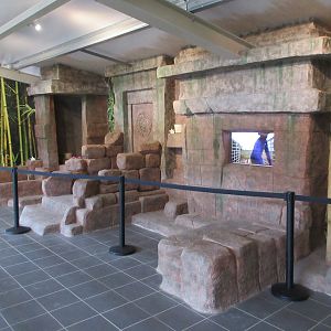 Big Cat Complex - Pedagogical Material (Temple)