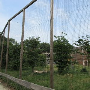 Bird of Prey Complex - Griffon Vulture/Marabou Stork Exhibit