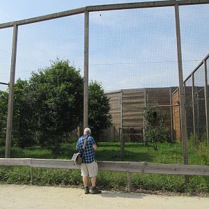 Bird of Prey Complex - Zoo Nerd + Bald Eagle Exhibit