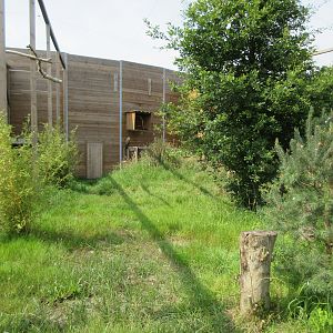 Bird of Prey Complex - White-tailed Eagle Exhibit