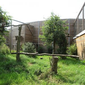 Bird of Prey Complex - Eurasian Eagle Owl Exhibit