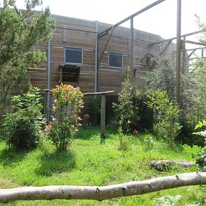 Bird of Prey Complex - Ruppell's Vulture Exhibit