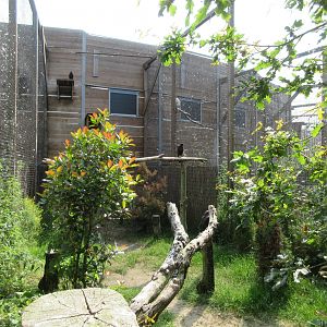 Bird of Prey Complex - Harris's Hawk Exhibit