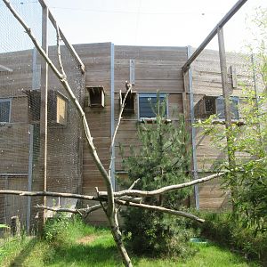 Bird of Prey Complex - Hooded Vulture Exhibit