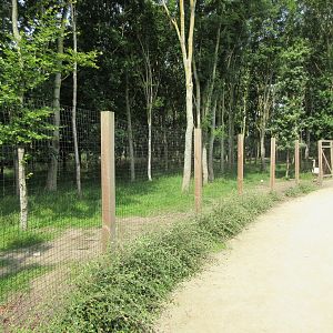 Bird of Prey Complex - Rhea Exhibit